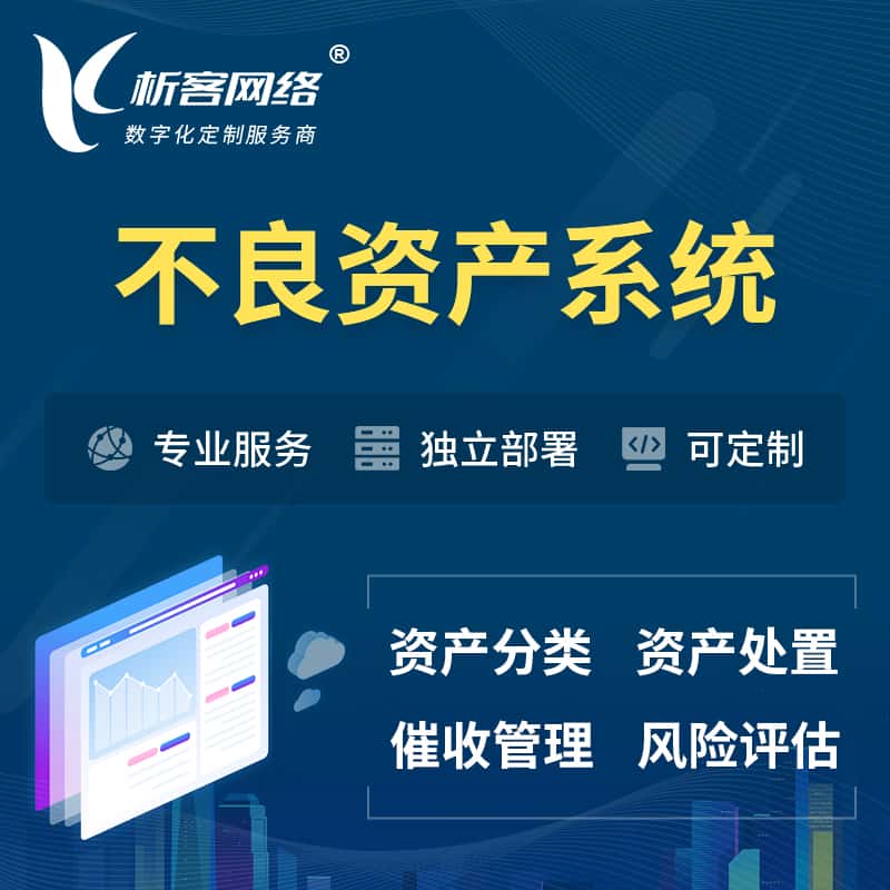 江西不良资产管理系统