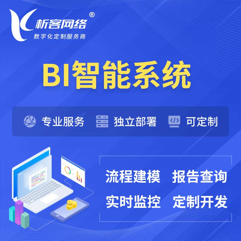 江西BI智能系统 | BI数据可视化